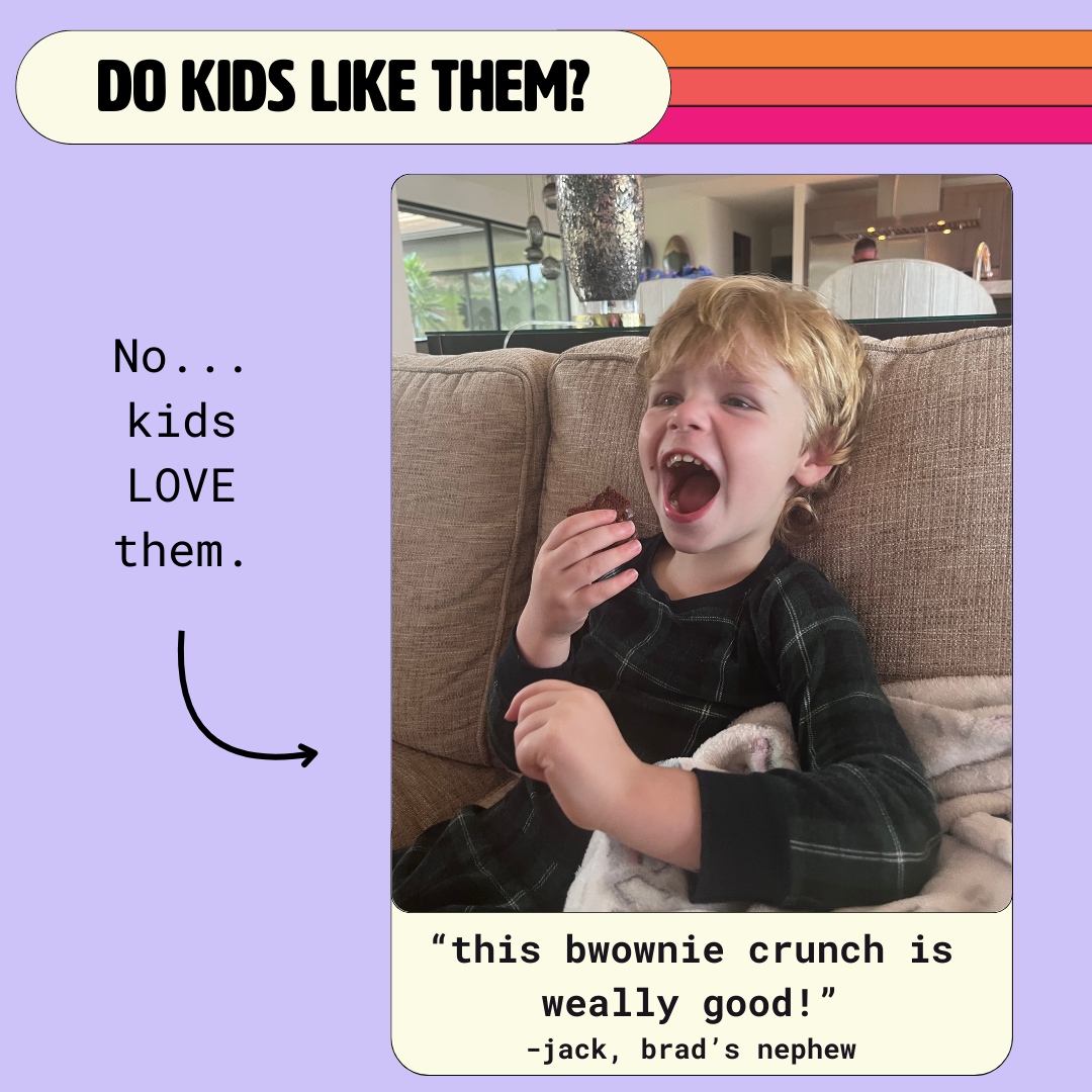 Brownie Crunch Protein Squares