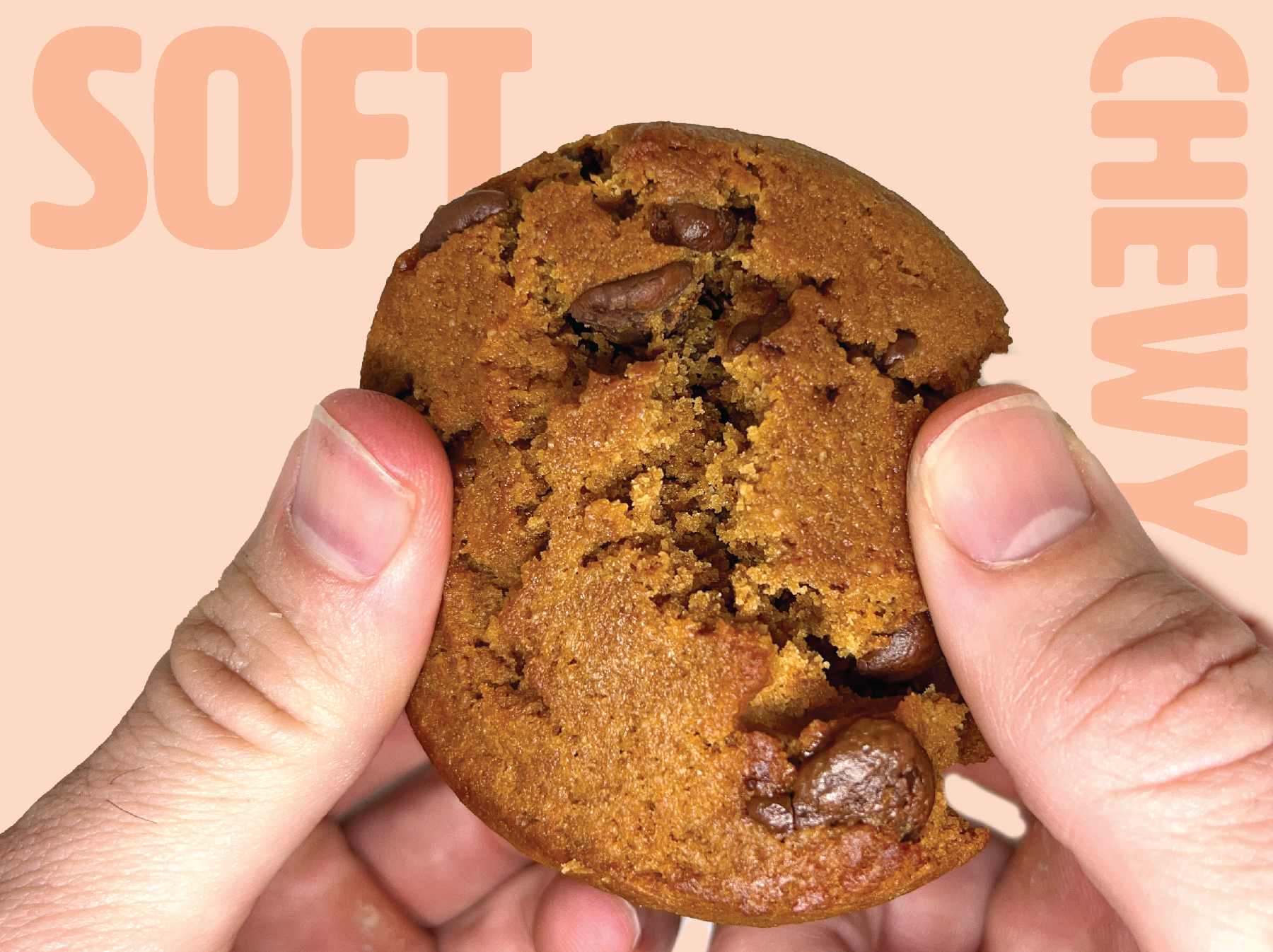 Peanut Butter Chocolate Chip Protein Cookie (LIMITED EDITION)